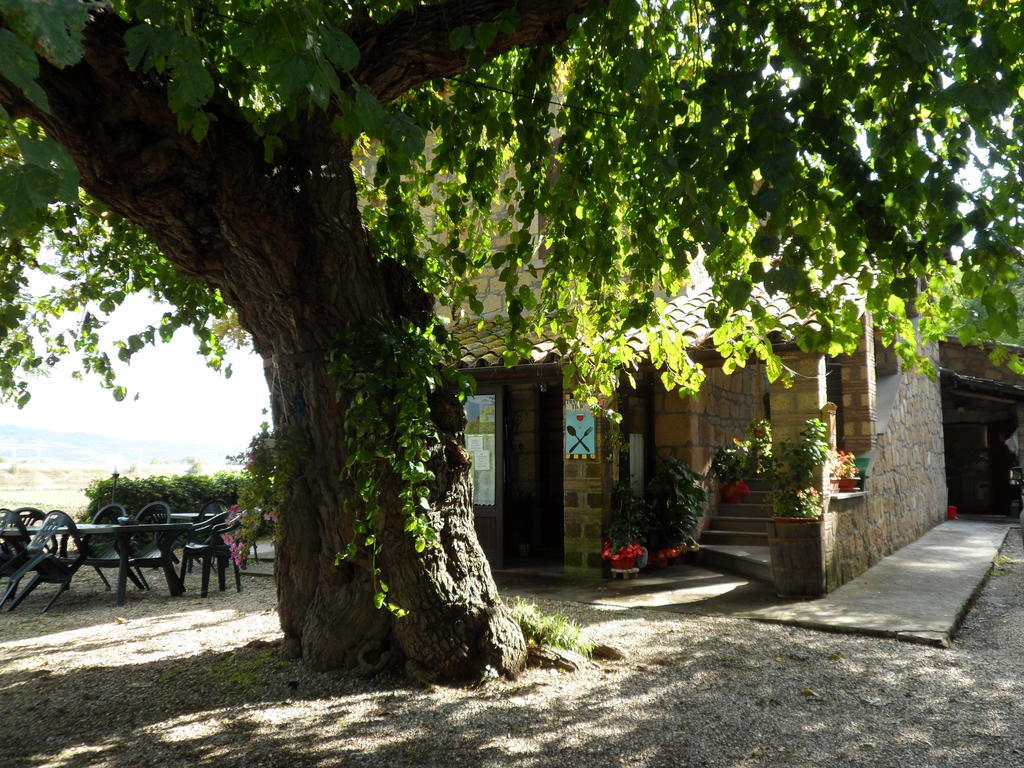 Mola Solis Hotell Civitella dʼAgliano Eksteriør bilde